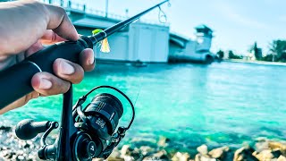 Fishing the Pass With Jigs & Live Bait Got on a Hot Bite