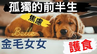 從 Belle 的護食行為淺談古典制約 #狗狗訓練  #動物小科普