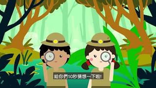 香港賽馬會慈善信託基金　賽馬會珍古德野生動物教育計劃——動物的自衛術