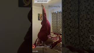 memes we want #pt... i forgot | #memes #random #dankmemes