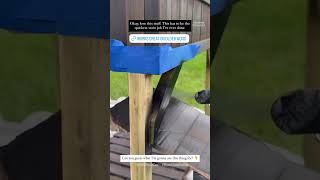 Part 041 #homeimprovement #homerepair #home #storytime #shortvideo #diyreels