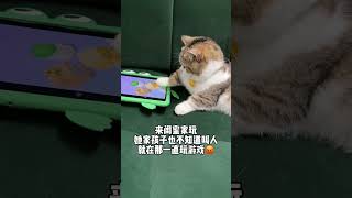 孩子沉迷电子游戏咋管啊 #内容启发分享计划 #猫咪日常 #记录猫咪日常的生活 #可爱猫咪