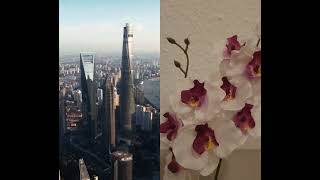 #travel #chinacity #food #shanghai #chinatown #asia #chinesefood #flowers