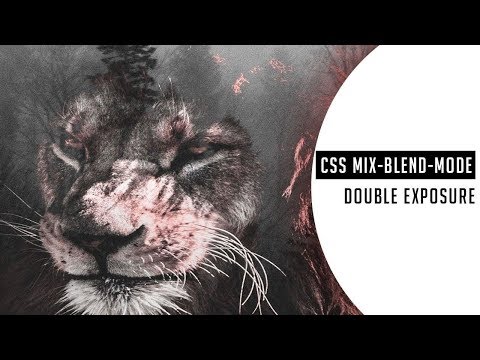 CSS Double Exposure animation Effect | CSS mix-blend-mode property  2019