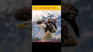 Top 3 Amazing Facts 🤯 #facts #amazingfacts #factshorts #animals #shortsfeed