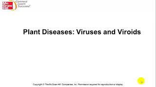 Plant viruses and viroids