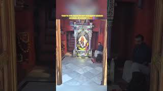 that's the reason why mahadev known as kaal Bhairav||dog lovers||#dog#shorts#viral#trending#funny