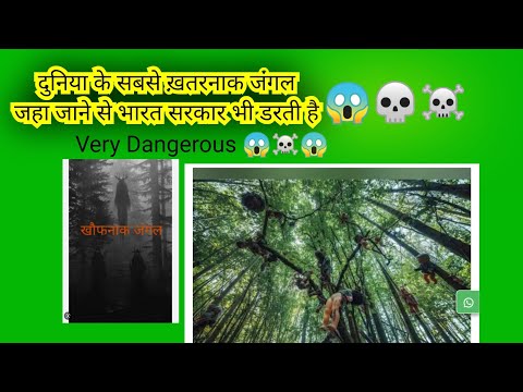 दुनिया के सबसे ख़तरनाक जंगल। its very dangerous jungle जहां पर मोदी सरकार भी डरती है#viralvideo