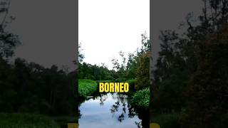 The Klotok Ride | Borneo, Indonesia | Shorts | Wild Wonders Expeditions