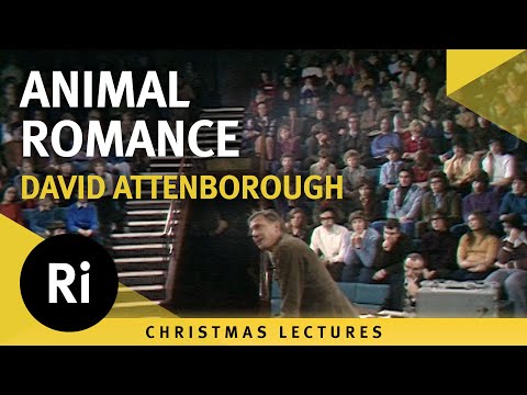 The languages of animals: Be mine - David Attenborough's 1973 Christmas Lectures 2/5