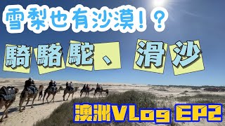 你沒看過的雪梨！城市中也有沙漠和野生海豚！數十米森林滑梯、騎駱駝、滑沙(澳洲vlog EP2)