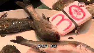 鏗鏘集2018：自食其膠