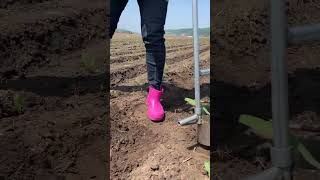 Rural Farmer #2122