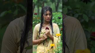 Beautiful Flowers Garden #AIBeauty  #AIArtVideo