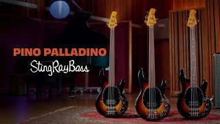 The Pino Palladino StingRay Bass Collection
