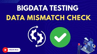 17. Data Mismatch Check