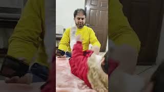Kuch aya tay Nahi || TAI’s MoM #shorts #fun