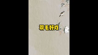 《 羽毛好戏》#宝藏小说 #适合女生看的小说推荐 #评分9.5分以上的小说