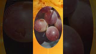 Sweet wine work of Noble rot YouTube Short #wine #vineyard #rotwine #sweetwine