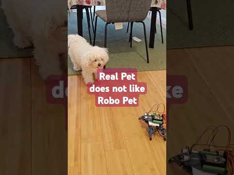 🐾 Real Pet vs 🤖 Robot Pet: Funny Reaction! 😂 #RobotPet #RealPet #PetReactions #robotics #esp32