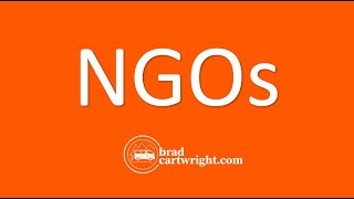 What are Non-Government Organizations (NGOs)? | Development | The Global Economy | IB Exam Review