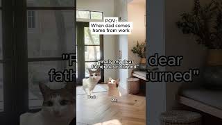 CAT MEMES 🐱 When dad comes home from work #shorts #catmemes #relatable