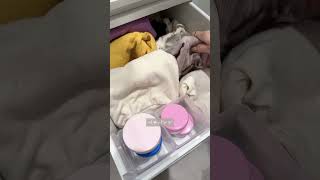 早生まれ3歳の幼稚園の朝お支度ルーティン　#幼稚園#身支度#ルーティン