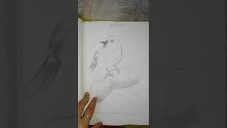 nios 10 class painting portfolio,#nios #10class #painting #like # share #subscribe #nios2024-2025