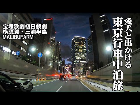 【東京行車中泊旅vol.3】東京宝塚劇場めざして愛犬と出かける1880㌔の車中泊旅