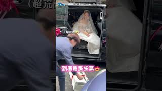 超狂新娘「拜別丟冷氣」新秘看傻：新郎要扛住啊... #shorts