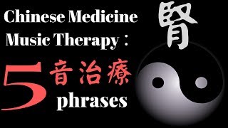 【中醫音樂】music therapy in Chinese medicine: 漢宮秋月 2020 中醫養生音樂 五音治療 中醫五行