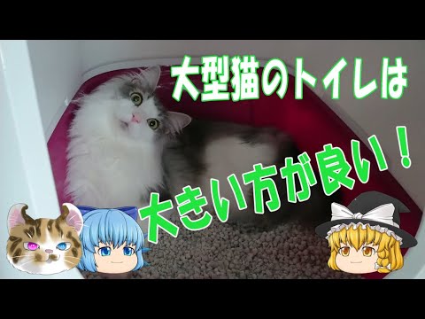 【ゆっくり】大型猫のトイレはやっぱり大きいのが良い(=ﾟωﾟ)ﾉ