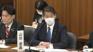 国民投票法改正の意義（2020.12.03 憲法審査会）やまだ賢司