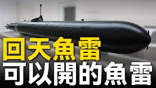 原來美軍也研製過神風武器，射程還把發射者包含進去？世紀謊言該闢謠了！盤點那些史上最瘋狂的「自爆武器」：殺敵1千自損8百值嗎？日本回天魚雷戰績如何？|大胖兵#日本海軍 #美軍 #俄羅斯