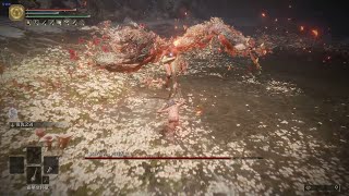 「米凱拉的鋒刃」女武神 瑪蓮妮亞 鐮型刀 LV1 無傷/Malenia Falx RL1 No Damage/V1.12