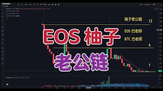 EOS柚子 老公链   了解B圈有趣小历史肯区块链升级奥秘