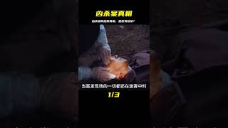 兇殺案的背后 是否另有隱情 #雨神說劇 #電影解說 #電影 #影視解說 #影視