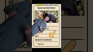The Ghost of the Andes-- Spectacled Bear Power Card Ranking