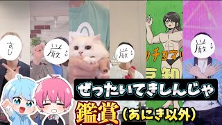 【いれいす 切り抜き】メンバーの『ぜったいてきしんじゃ』鑑賞(あにき以外)