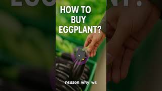 🥙 Your Guide to Selecting Fresh Eggplant