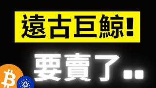 比特幣急跌7000美金..有史以來最大的遠古巨鯨要砸盤了!? 下一個上車機會要來了嗎? ADA即將大翻轉.. SUI一旦突破4.3就是新高! #ada #sui