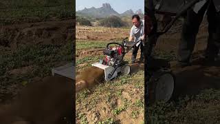 Small-sized tiller