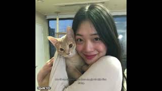 #SULLI || Pedido da @amigadesulli #amoo #kpop #sulli #shorts #desflopacomu