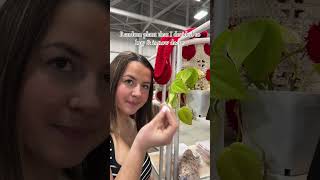 Iykyk #craftfair #craft #craftfairideas #booth #display #market #marketvlog #setup #smallbusiness