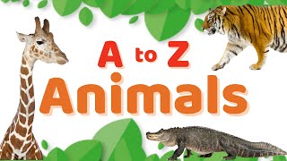 ABC Animals #abcd  #animals #kids #mmgkids #learn #learning #fun #alphabet #abcvideo #preschoolers