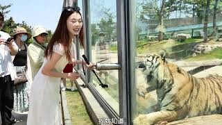 别再天天吐槽威海人挤人、住宿贵，火炬八街全靠滤镜了！！那是你们地儿没去对呀#北方宝藏海岸线#西霞口神雕山野生动物园#一定要打卡大海边的动物园呀#好客山东好品山东#山东DOU是好风光