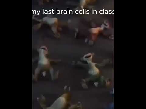 My last brain cells during class: