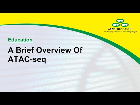 A Brief Overview Of ATAC-seq