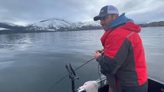 Jig fishing Lake Chelan for Mackinaw