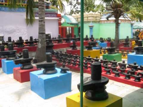 yanamandala family videos kotilingalu